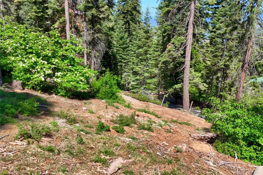 7420 Henness Ridge Road Yosemite, CA 95389