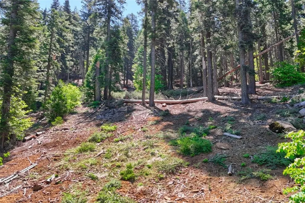 7420 Henness Ridge Road Yosemite, CA 95389