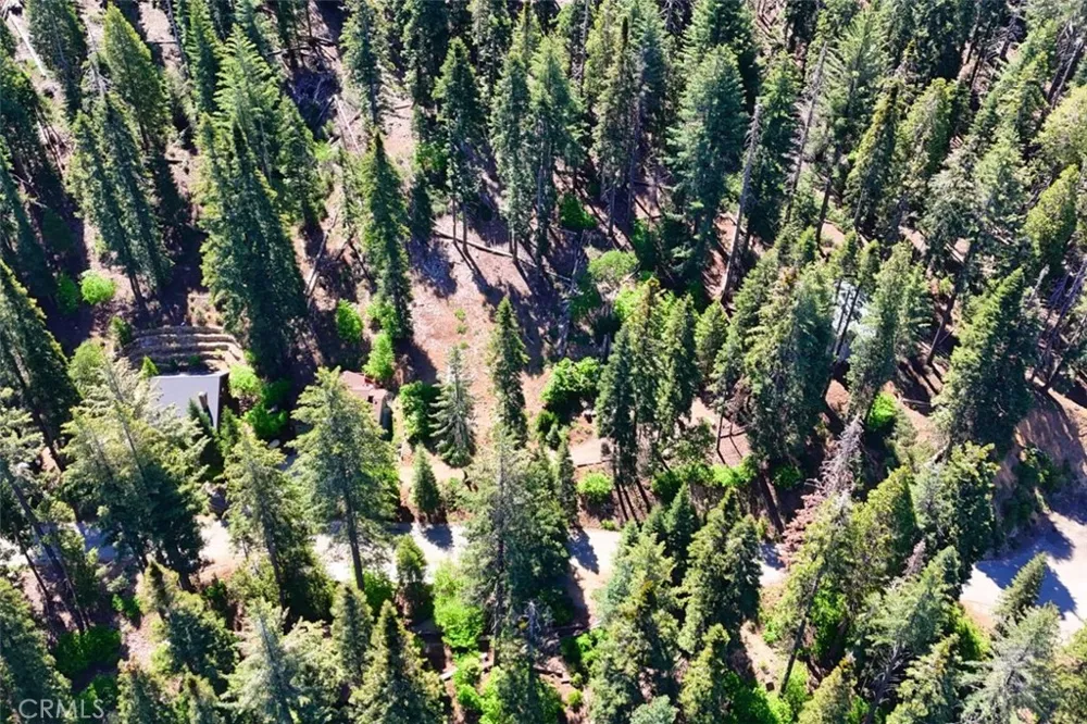 7420 Henness Ridge Road Yosemite, CA 95389