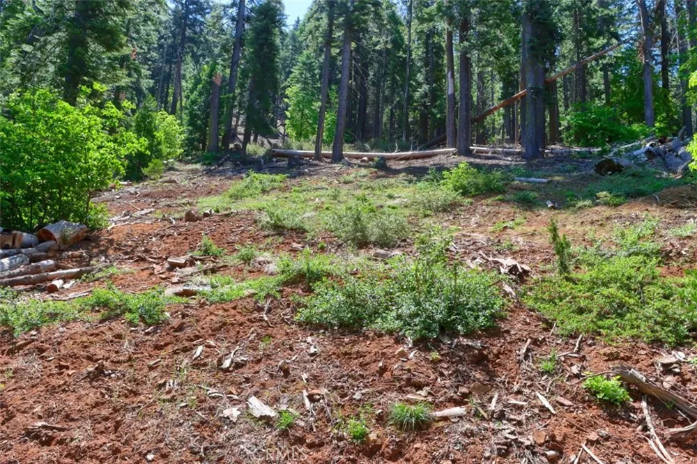 7420 Henness Ridge Road Yosemite, CA 95389