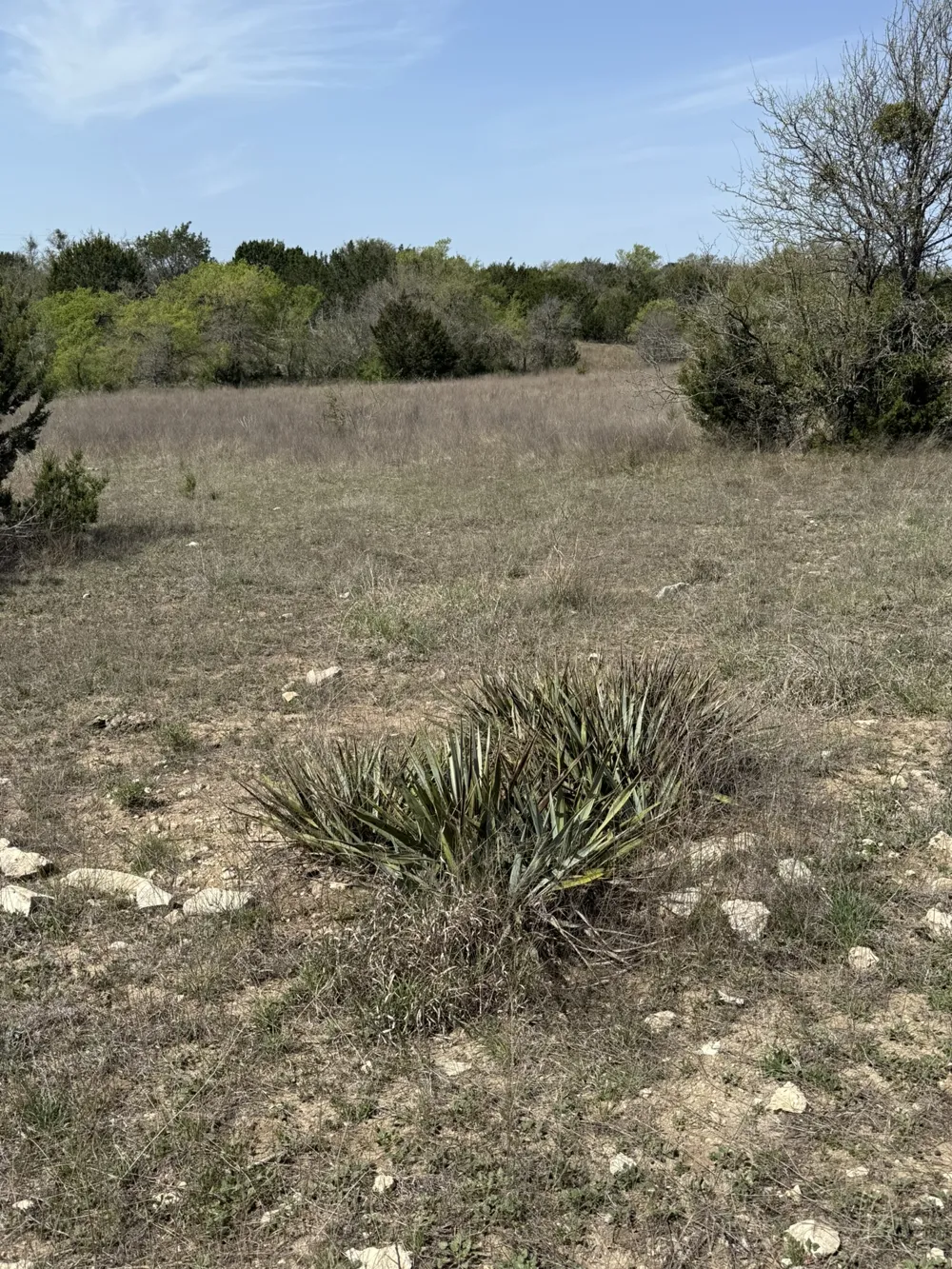 109 Pitchfork Ranch Road Copperas Cove, TX 76522