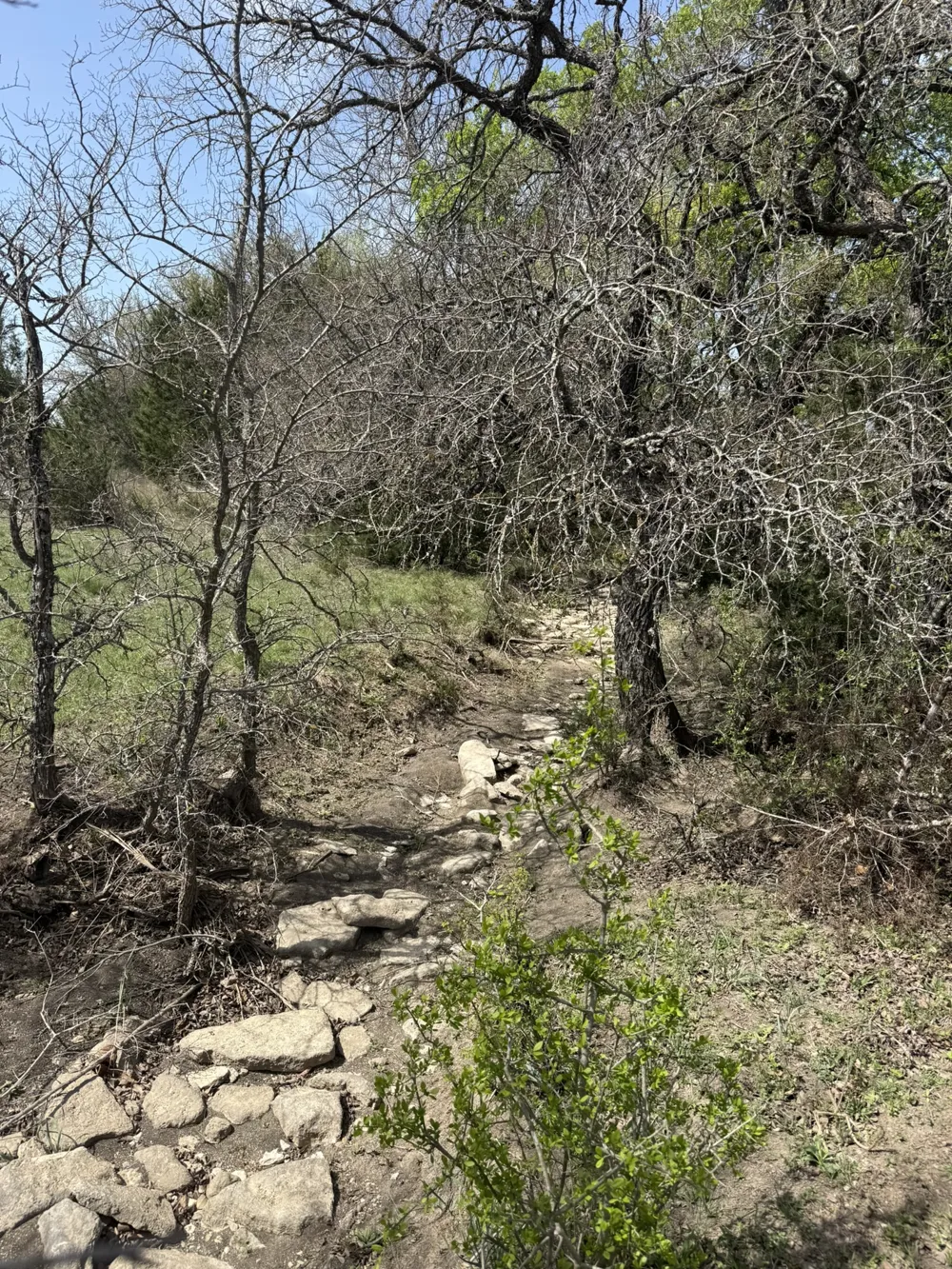 109 Pitchfork Ranch Road Copperas Cove, TX 76522