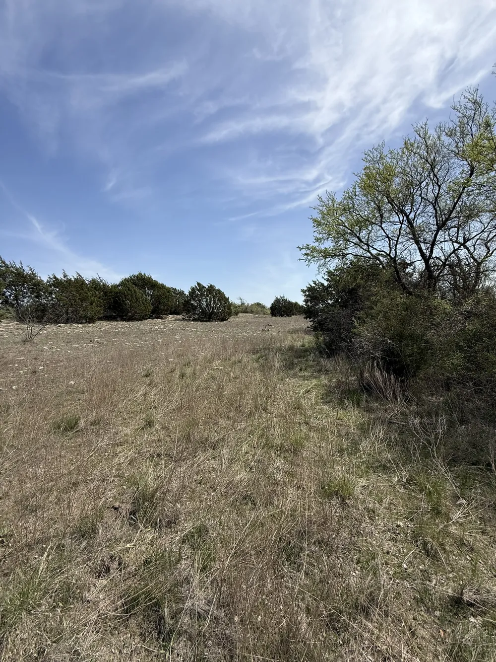 109 Pitchfork Ranch Road Copperas Cove, TX 76522