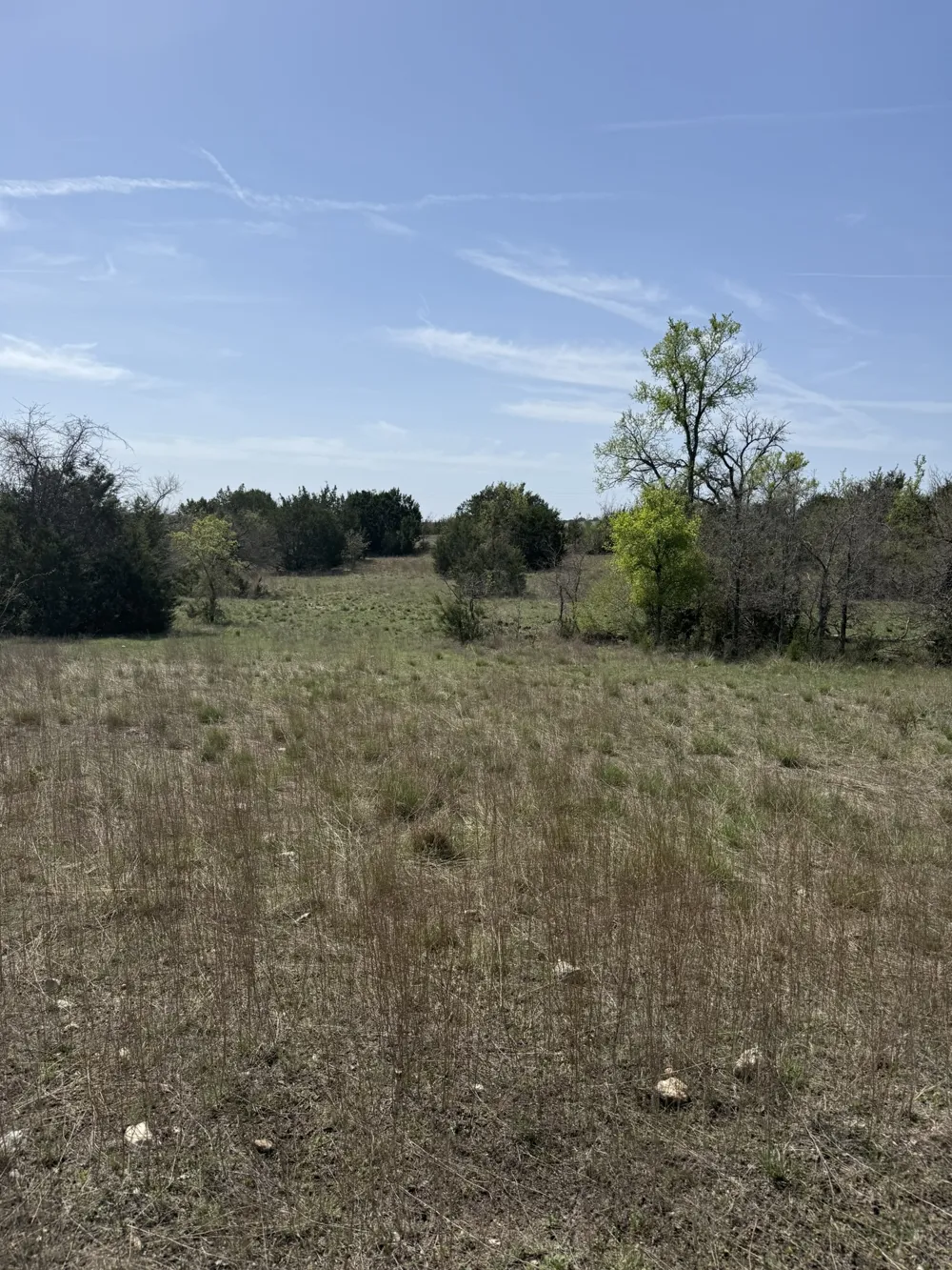 109 Pitchfork Ranch Road Copperas Cove, TX 76522