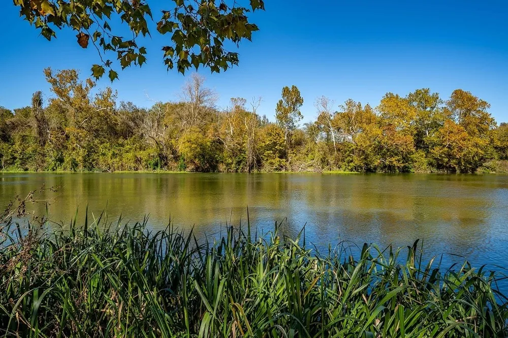 4 Fayette Shores Cove West Point, TX 78963