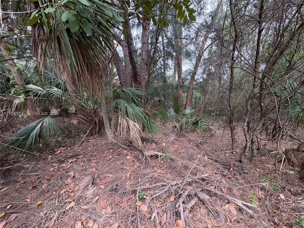 30 Forest Hills Dr Coral Springs, FL 33065