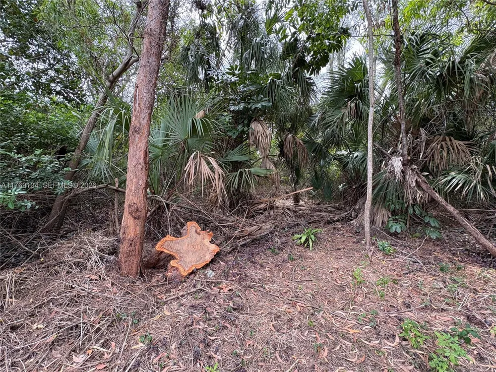 30 Forest Hills Dr Coral Springs, FL 33065