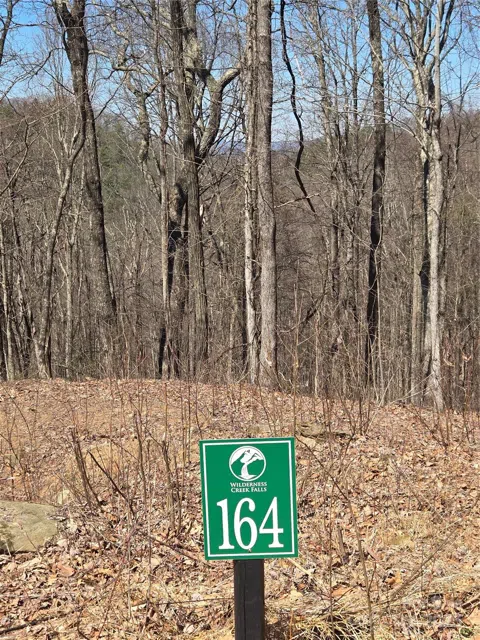 164 Wilderness Creek Way #164