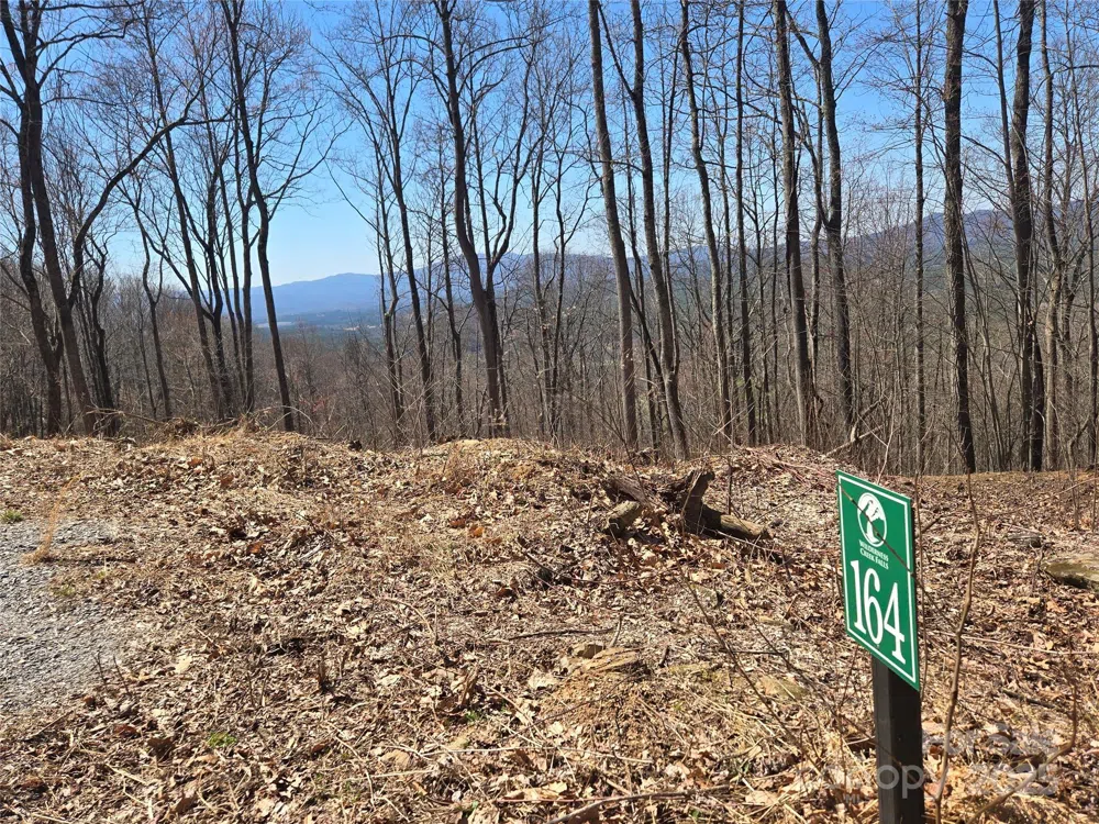 164 Wilderness Creek Way #164 Murphy, NC 28906