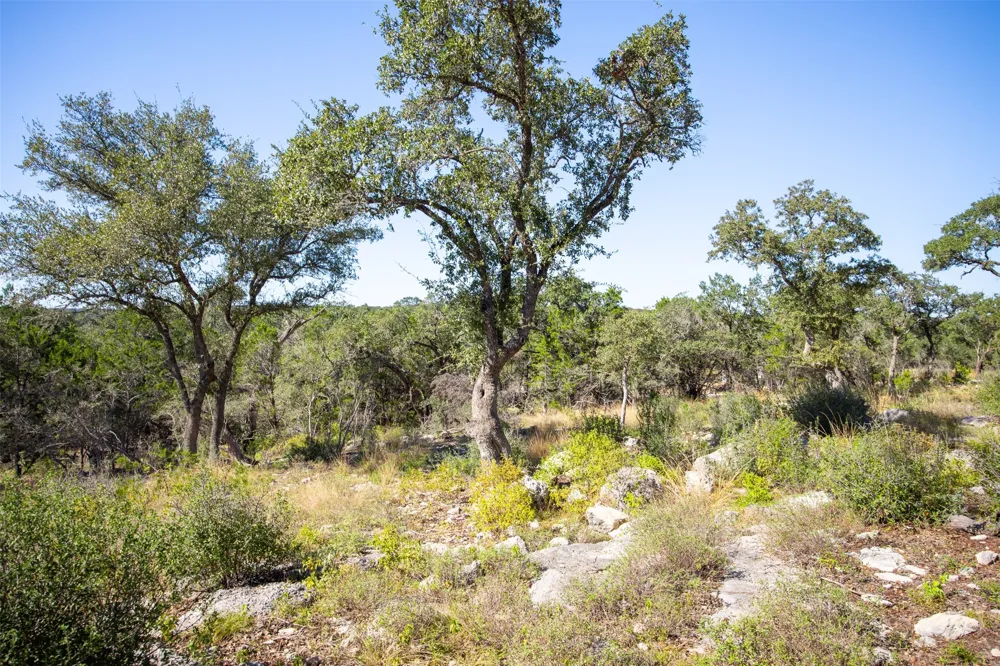 1962 Paradise Parkway Canyon Lake, TX 78133