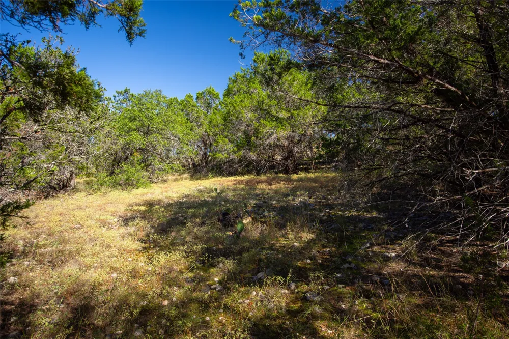 1962 Paradise Parkway Canyon Lake, TX 78133