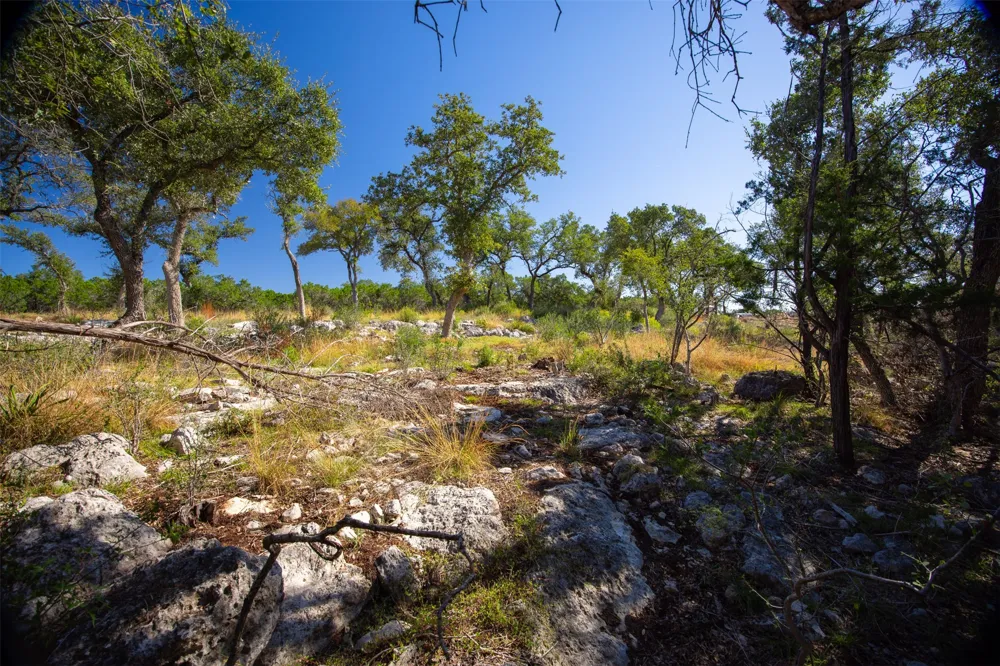1962 Paradise Parkway Canyon Lake, TX 78133