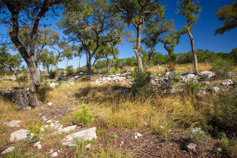 1962 Paradise Parkway Canyon Lake, TX 78133
