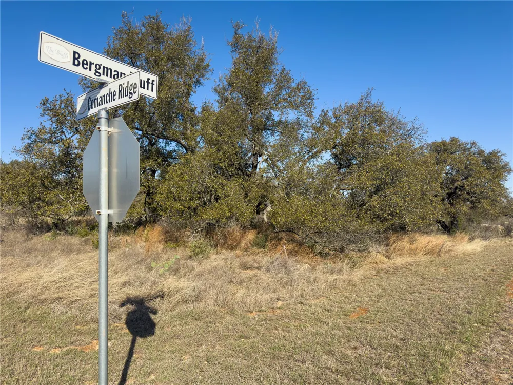 20 Comanche Ridge Round Mountain, TX 78663