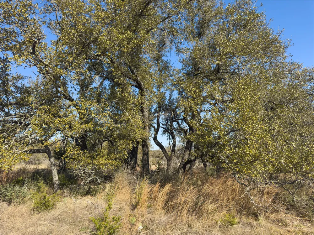 20 Comanche Ridge Round Mountain, TX 78663