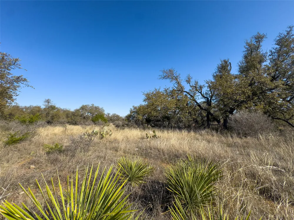 20 Comanche Ridge Round Mountain, TX 78663