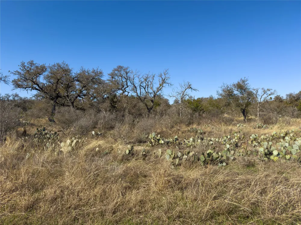 20 Comanche Ridge Round Mountain, TX 78663