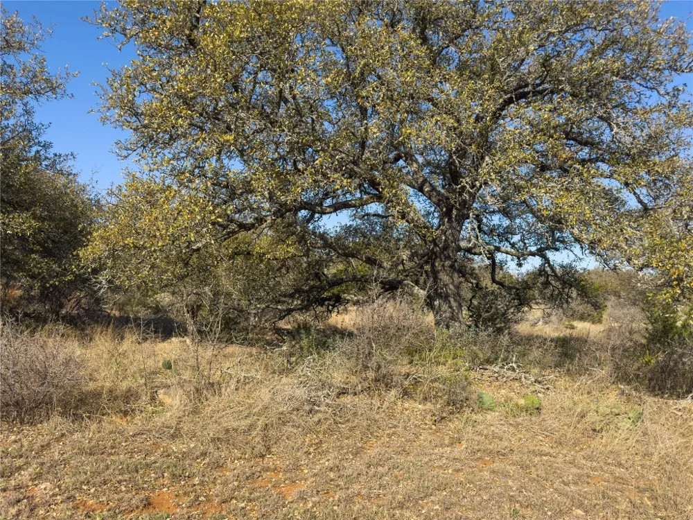 20 Comanche Ridge Round Mountain, TX 78663