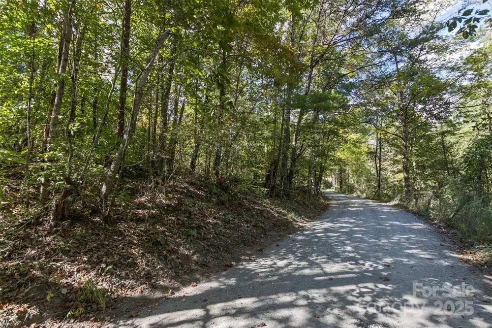 99999 Rocky Hollow #Tract 3 Weaverville, NC 28787