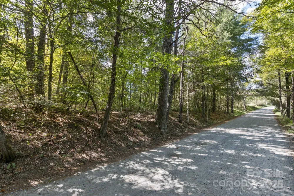 99999 Rocky Hollow #Tract 3 Weaverville, NC 28787