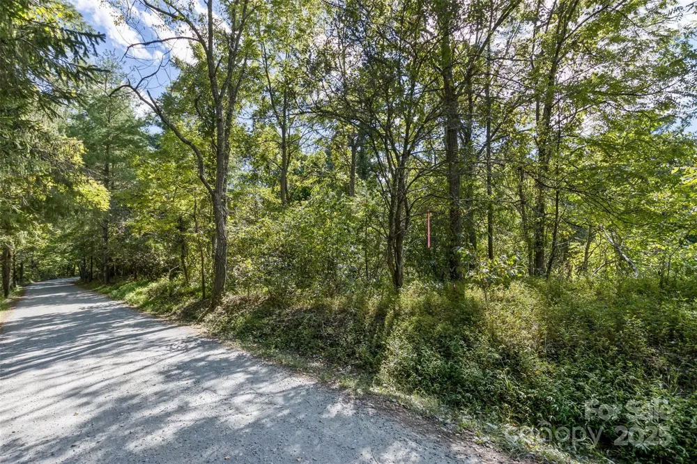 99999 Rocky Hollow #Tract 3 Weaverville, NC 28787