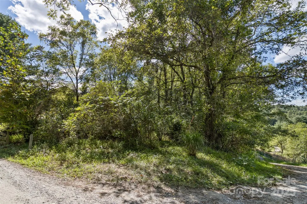 99999 Rocky Hollow #Tract 3 Weaverville, NC 28787