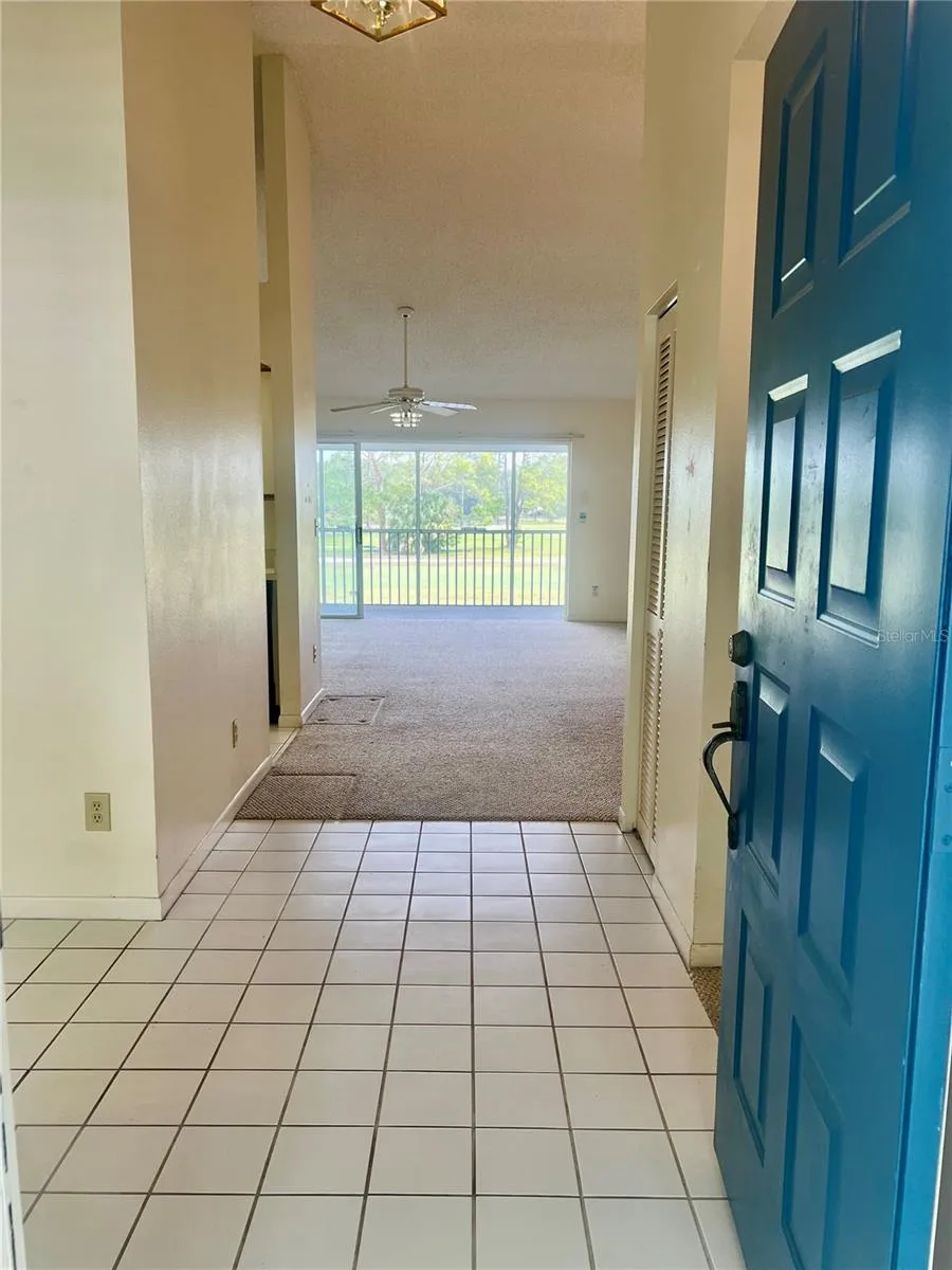 3629 INDIGO POND DRIVE #3629 Palm Harbor, FL 34685