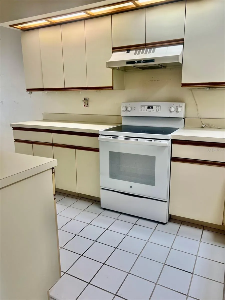 3629 INDIGO POND DRIVE #3629 Palm Harbor, FL 34685