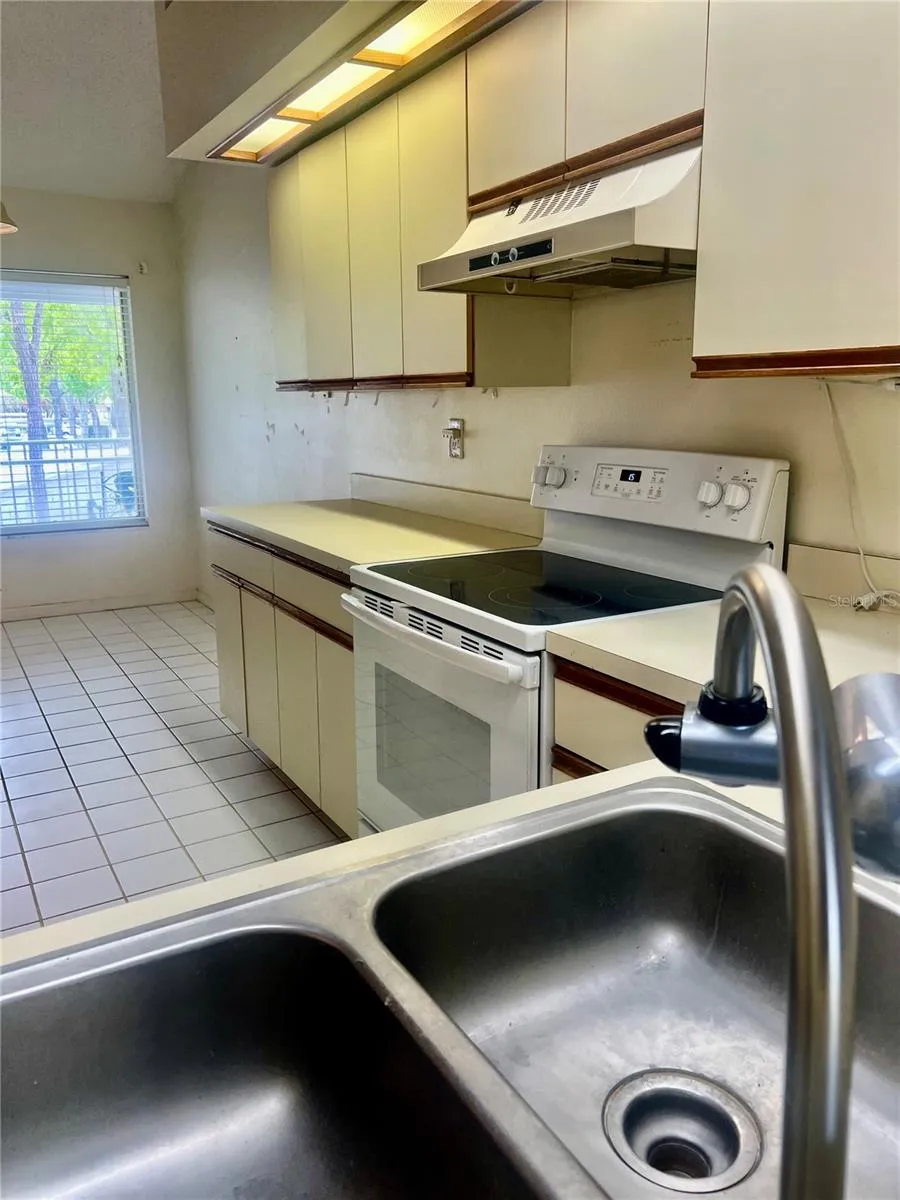3629 INDIGO POND DRIVE #3629 Palm Harbor, FL 34685