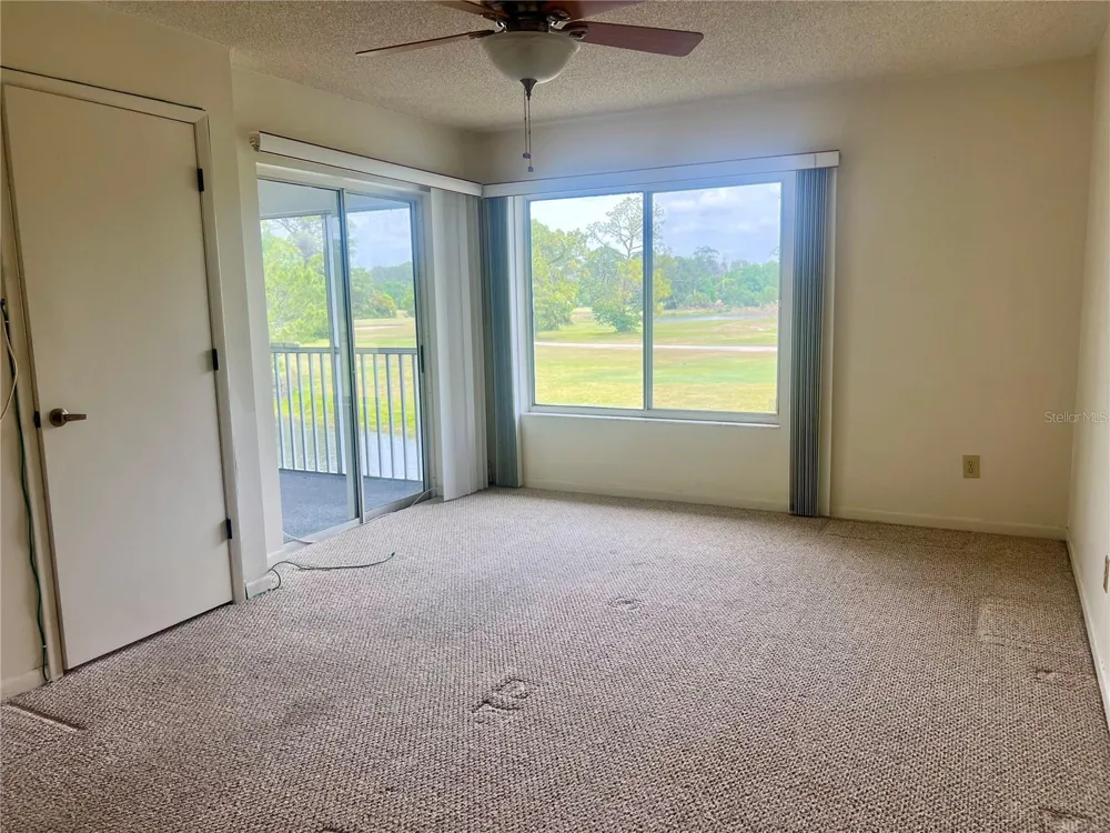 3629 INDIGO POND DRIVE #3629 Palm Harbor, FL 34685