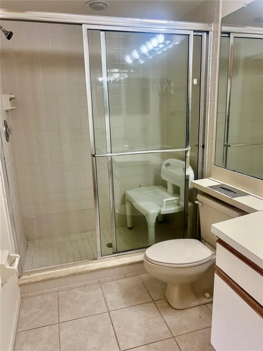 3629 INDIGO POND DRIVE #3629 Palm Harbor, FL 34685