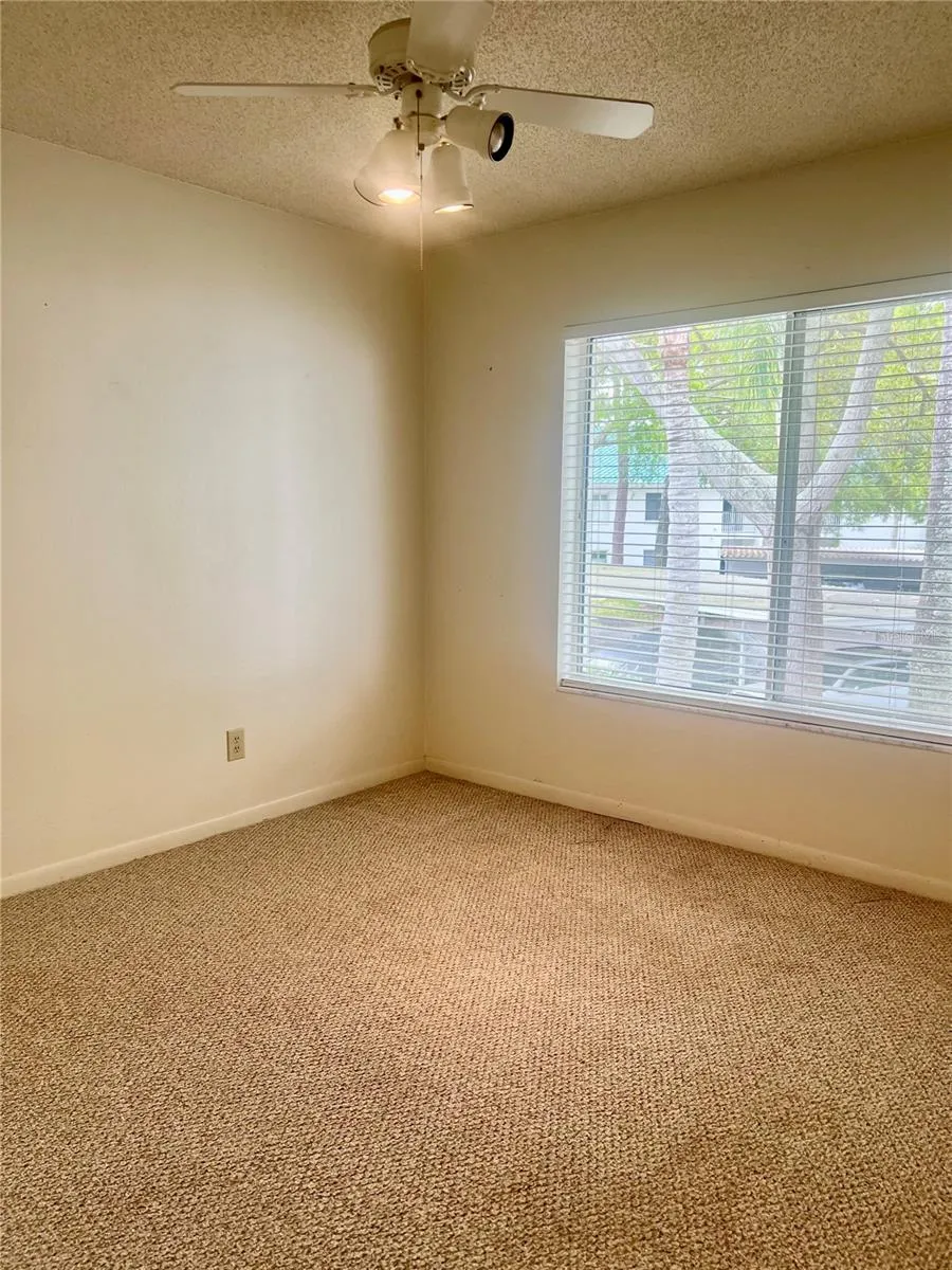 3629 INDIGO POND DRIVE #3629 Palm Harbor, FL 34685