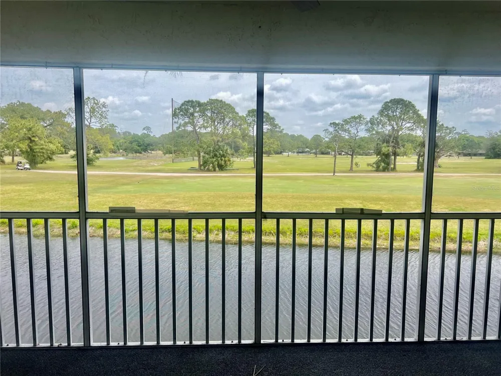 3629 INDIGO POND DRIVE #3629 Palm Harbor, FL 34685