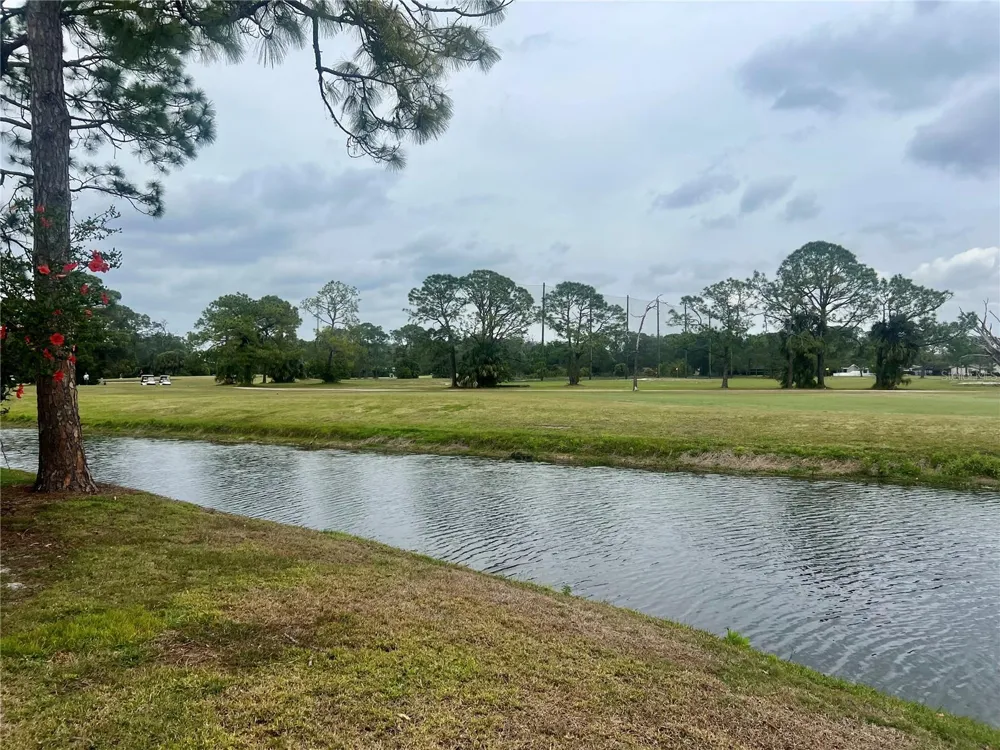 3629 INDIGO POND DRIVE #3629 Palm Harbor, FL 34685