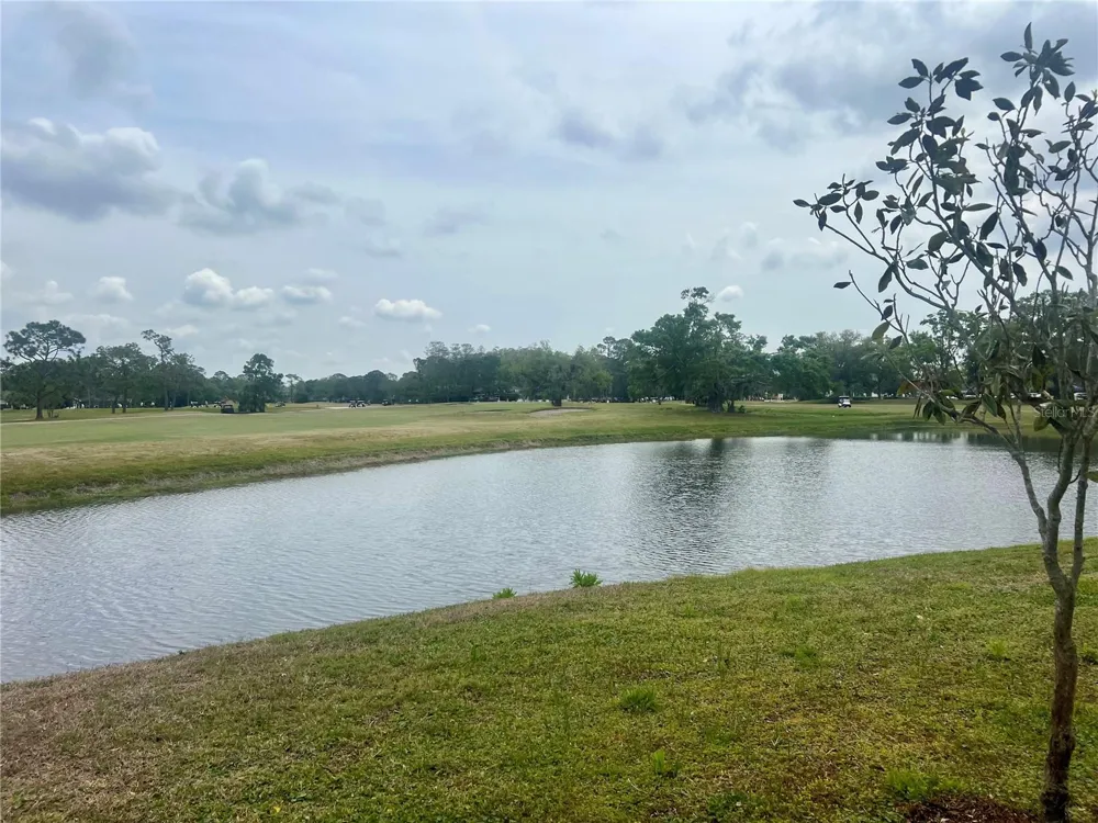 3629 INDIGO POND DRIVE #3629 Palm Harbor, FL 34685