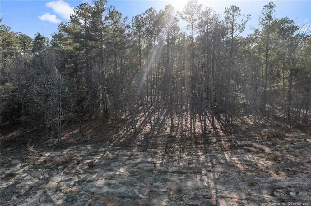 Cherrywood Lane Cameron, NC 28326