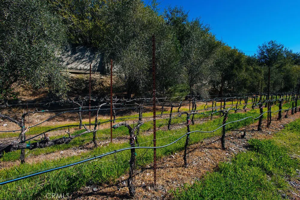 1001 Silverado Trail South St Helena, CA 94574