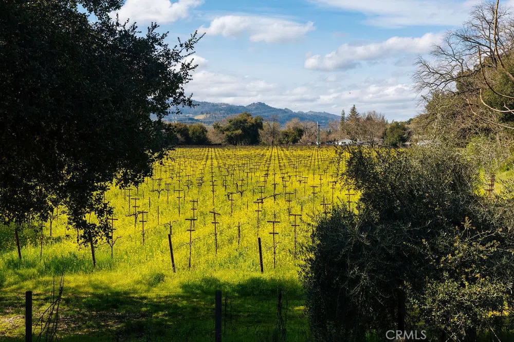 1001 Silverado Trail South St Helena, CA 94574