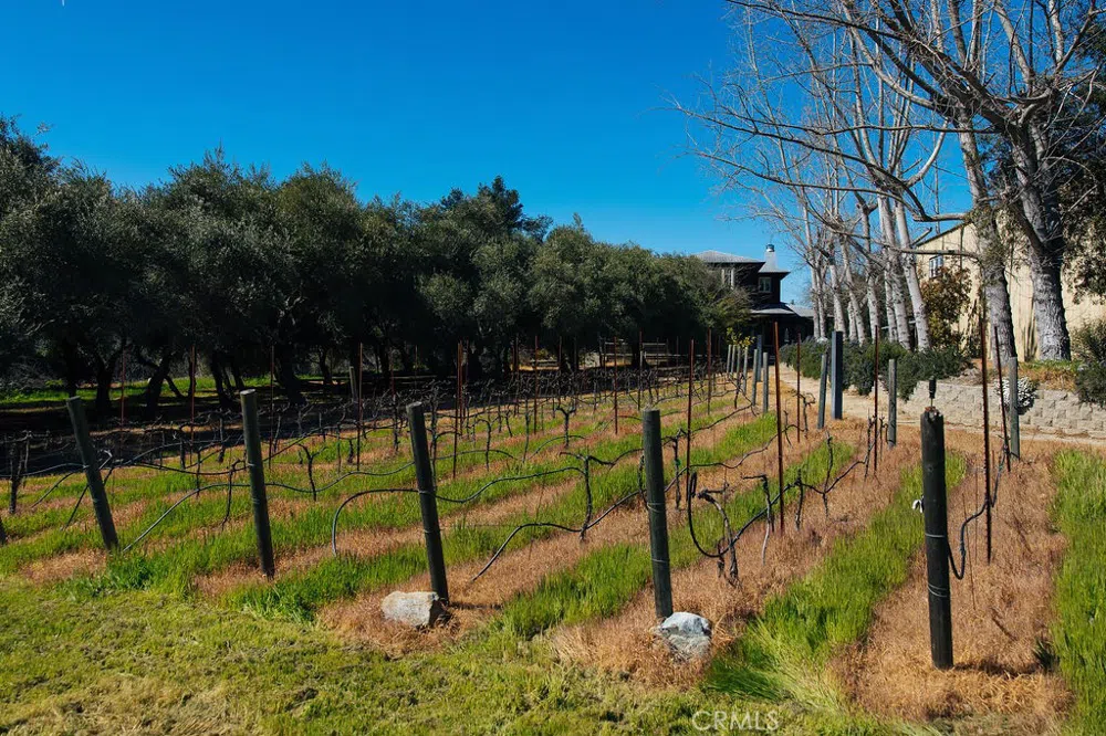 1001 Silverado Trail South St Helena, CA 94574