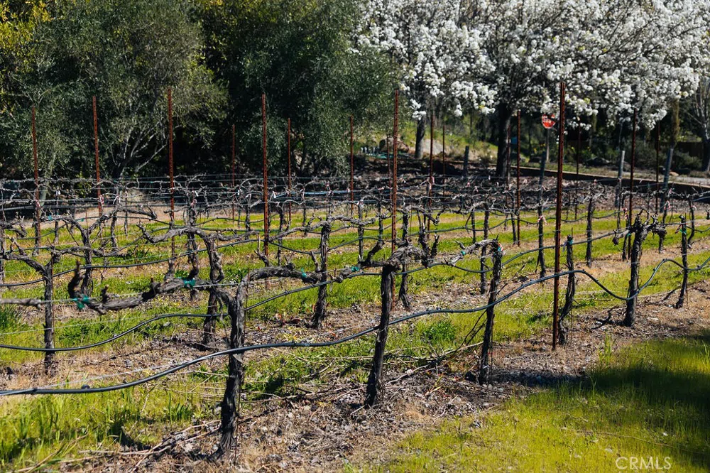 1001 Silverado Trail South St Helena, CA 94574