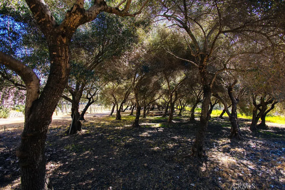 1001 Silverado Trail South St Helena, CA 94574