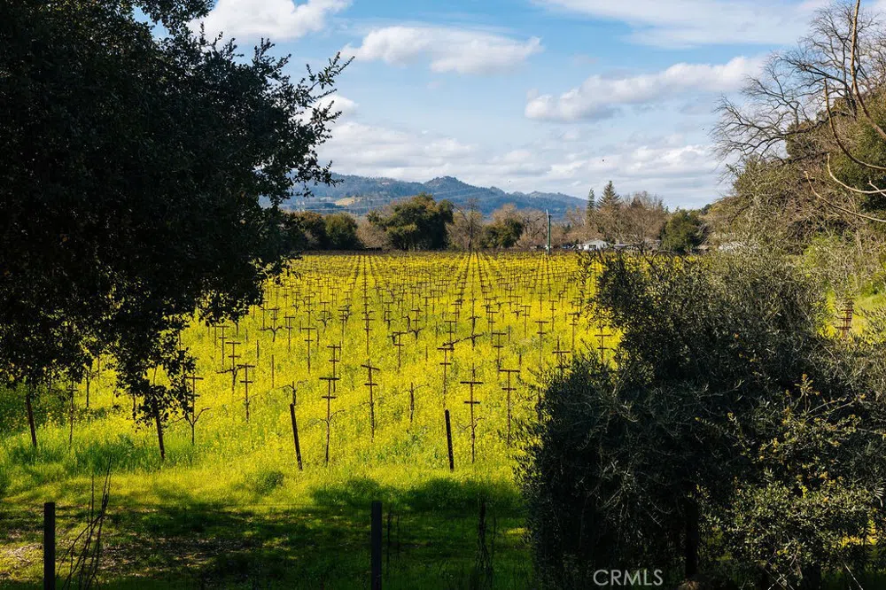 1001 Silverado Trail South St Helena, CA 94574