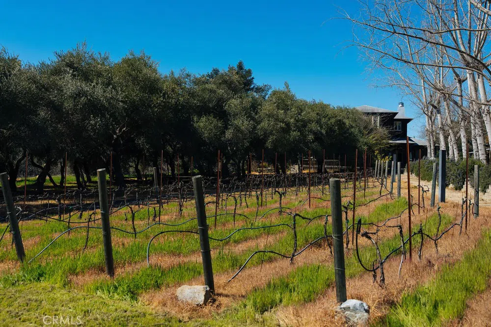1001 Silverado Trail South St Helena, CA 94574