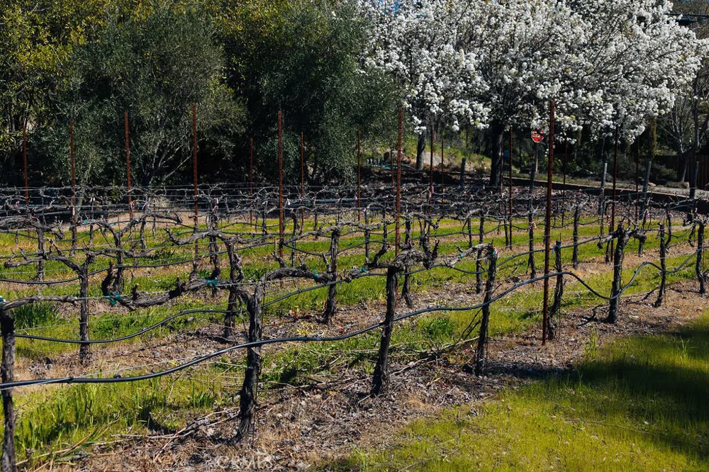1001 Silverado Trail South St Helena, CA 94574