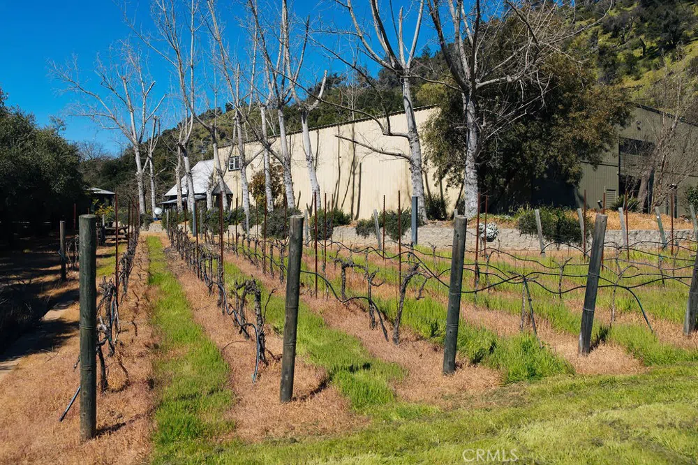 1001 Silverado Trail South St Helena, CA 94574