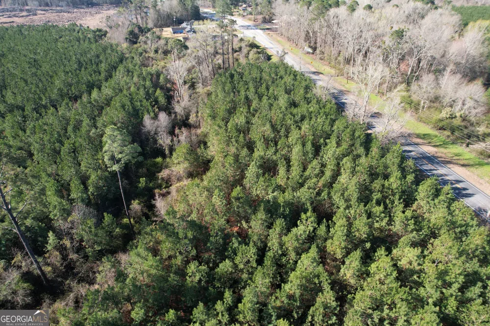 0 Burtons Ferry HWY Sylvania, GA 30467