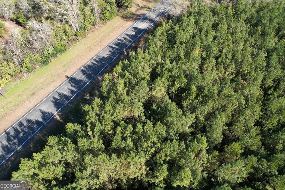 0 Burtons Ferry HWY Sylvania, GA 30467