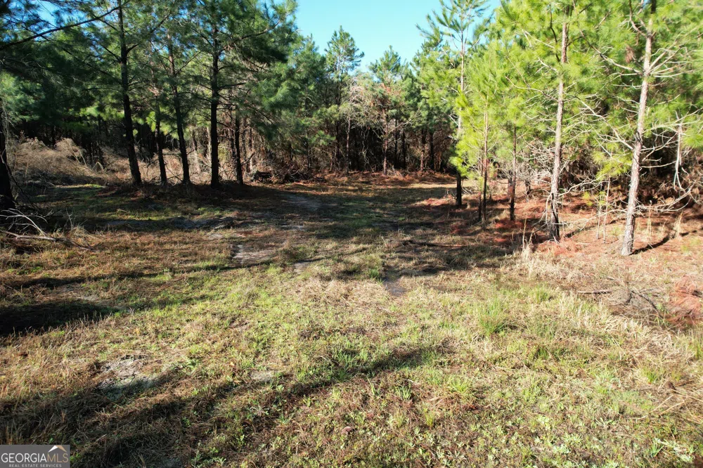 0 Burtons Ferry HWY Sylvania, GA 30467