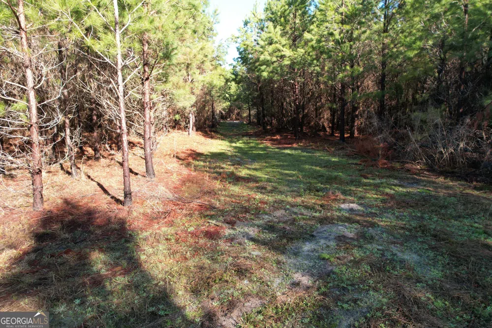 0 Burtons Ferry HWY Sylvania, GA 30467