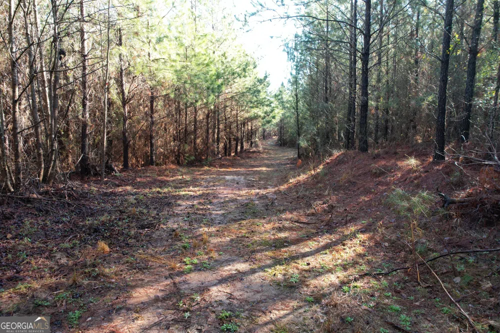 0 Burtons Ferry HWY Sylvania, GA 30467